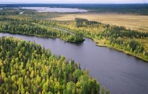 водлозер. парк